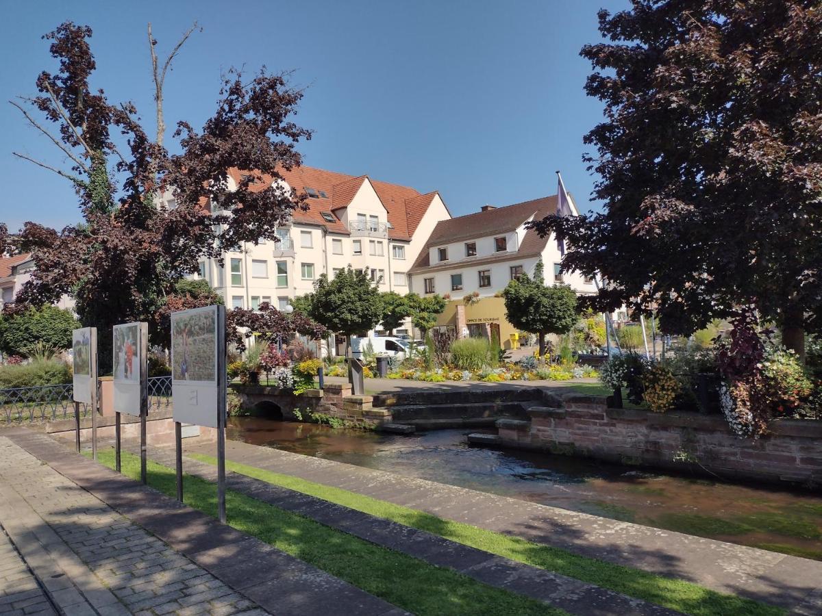 Charmant Studio Classe 3 Etoiles Au Coeur De Niederbronn-Les-Bains Exteriér fotografie
